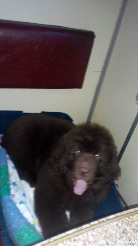 Фотография № 200579