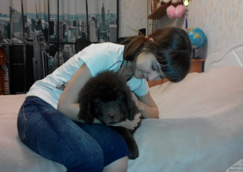 Фотография № 200580