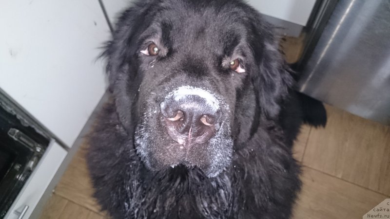 Фото: Nataliya Maslova (Наталия Маслова)