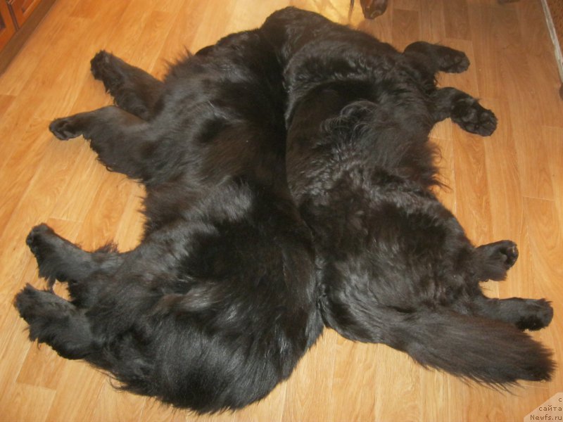 Фотография № 200608