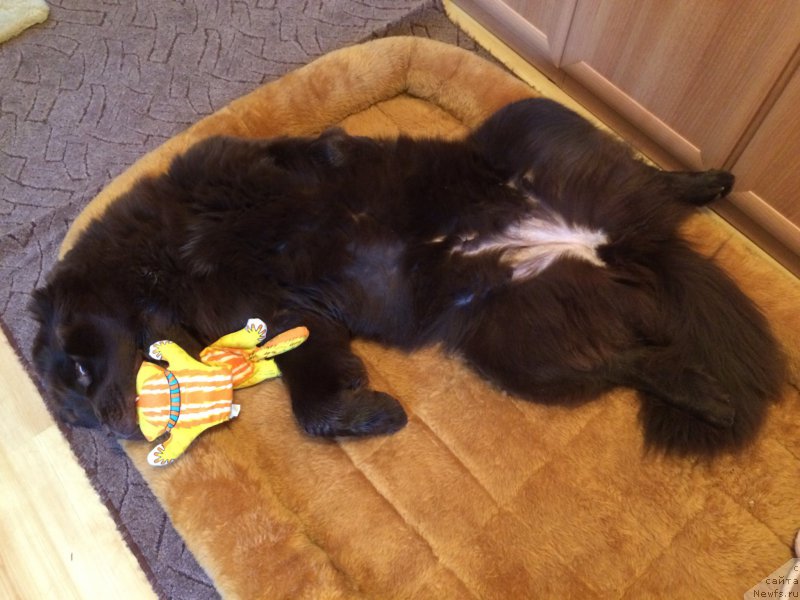 Фотография № 200612