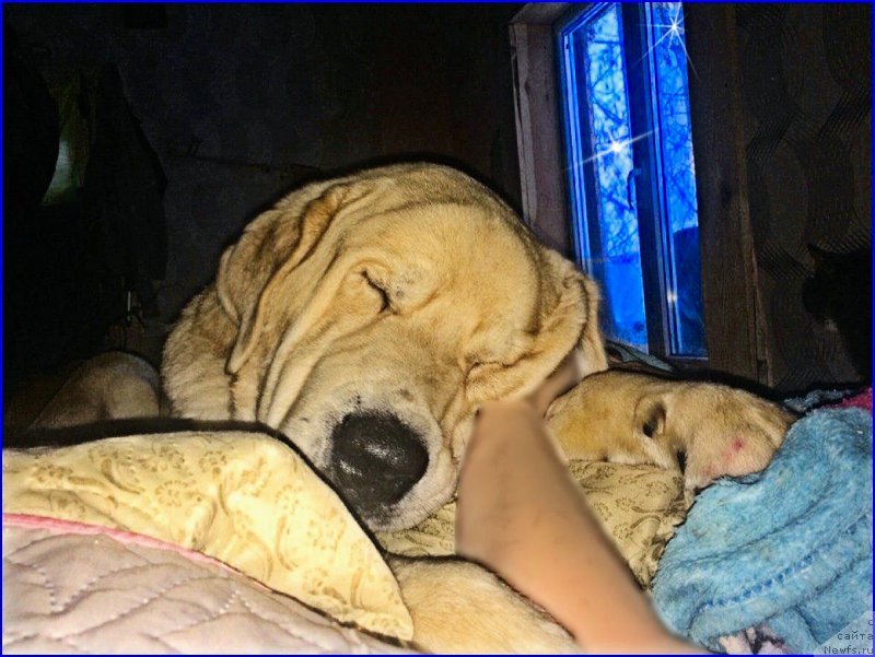 Фото: Lena Zyirina (Лена Зырина)