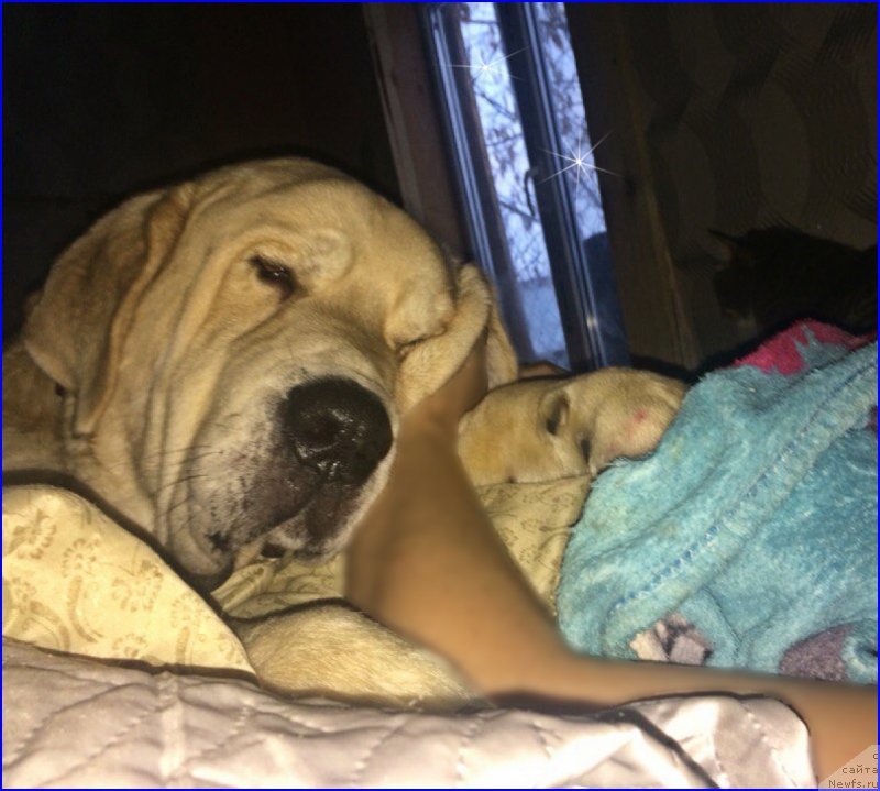 Фото: Lena Zyirina (Лена Зырина)