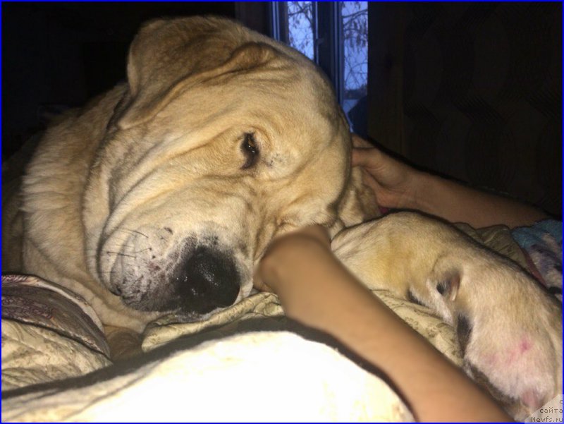 Фото: Lena Zyirina (Лена Зырина)