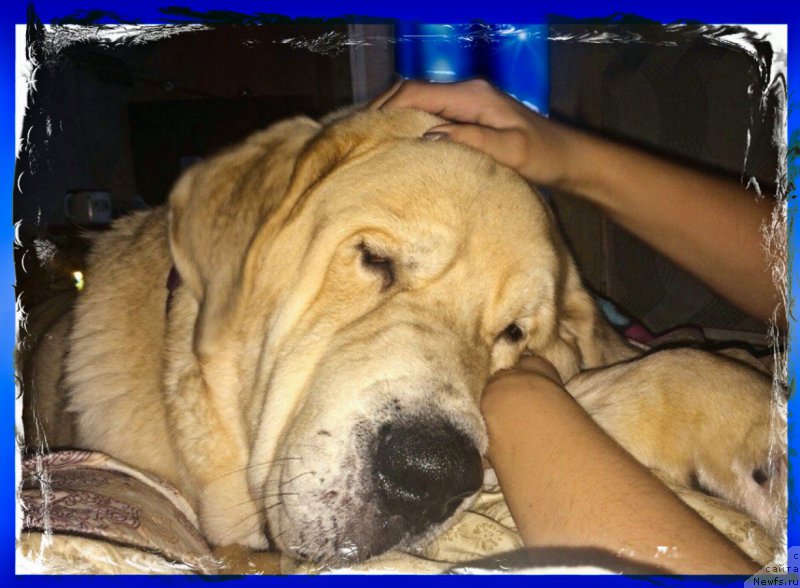 Фото: Lena Zyirina (Лена Зырина)