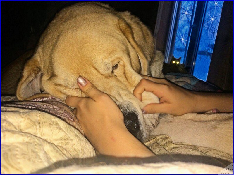 Фото: Lena Zyirina (Лена Зырина)