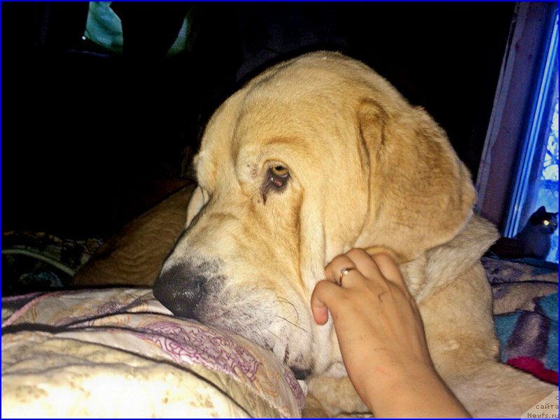 Фото: Lena Zyirina (Лена Зырина)