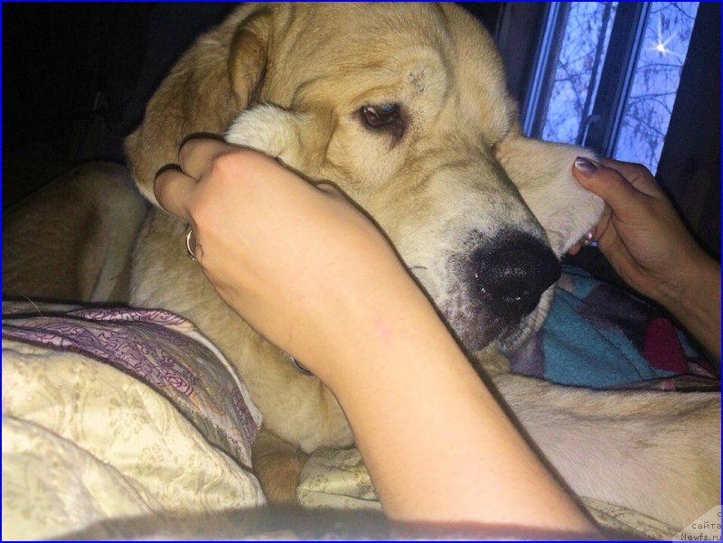 Фото: Lena Zyirina (Лена Зырина)