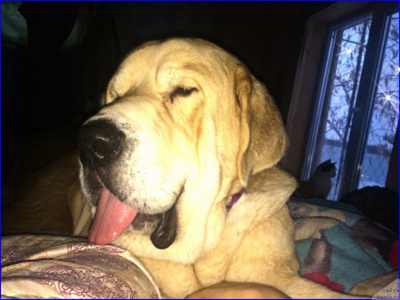 Фото: Lena Zyirina (Лена Зырина)