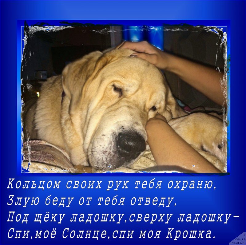 Фотография № 200650