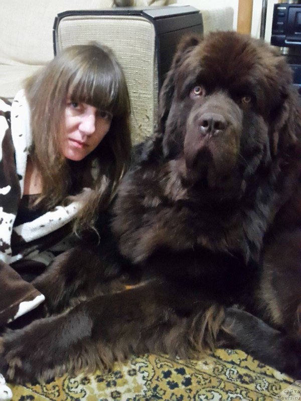 Фотография № 200655