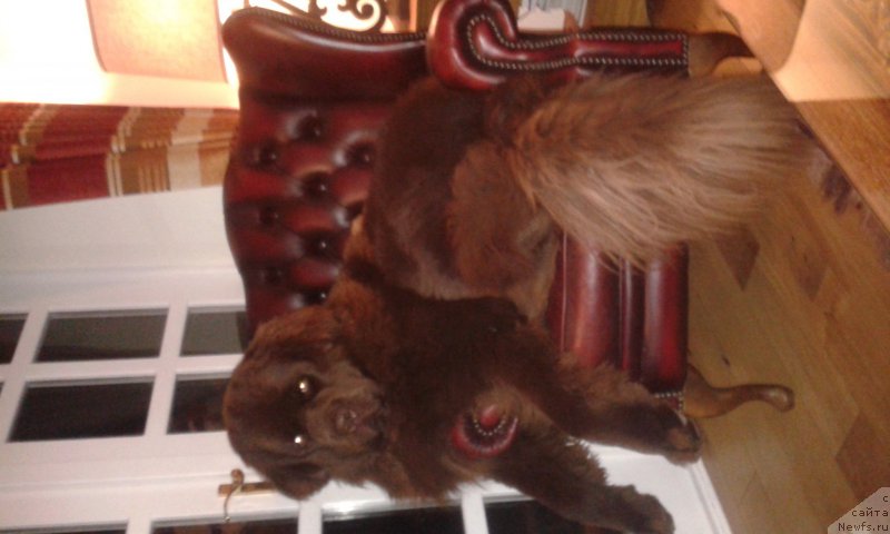 Фотография № 200661