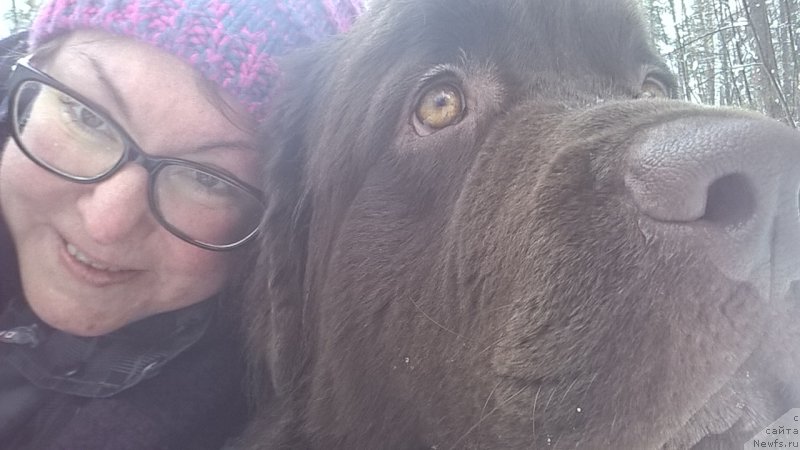 Фото: ньюфаундленд Brownblood MSK Zhanara Haya (Браунблад МСК Жанара Хайя), Irina Konischeva (Ирина Конищева)