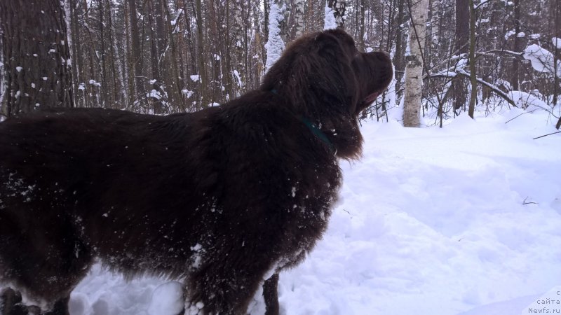 Фотография № 200678