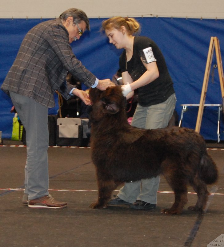 Фотография № 200702