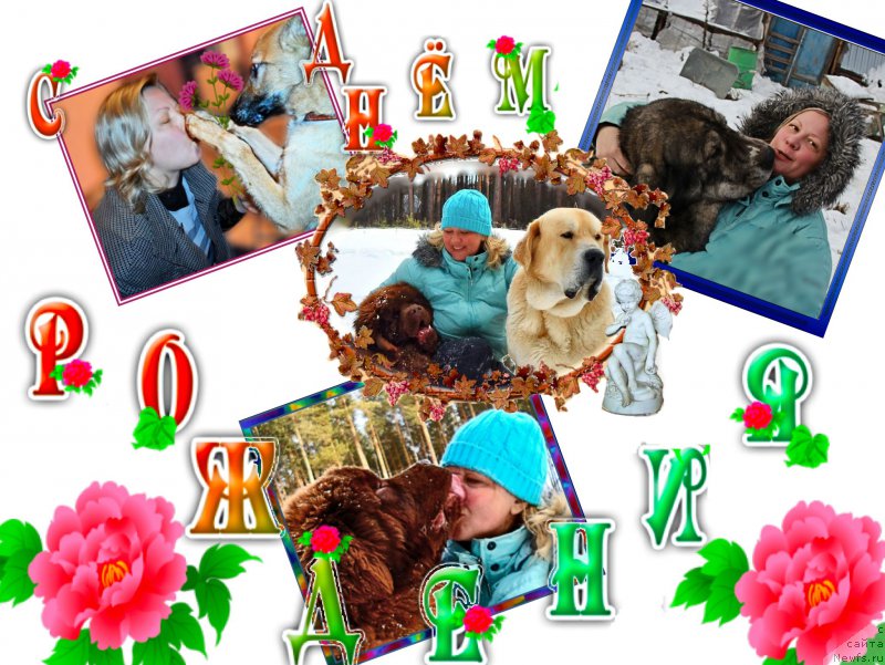 Фотография № 200717