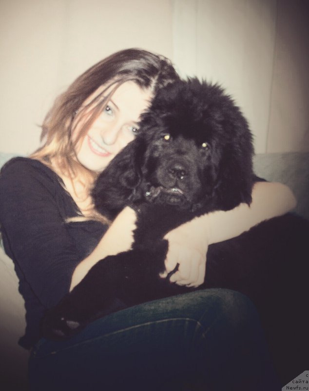 Фото: YUliya Nurieva (Юлия Нуриева)