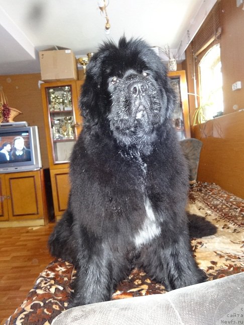 Фотография № 200739