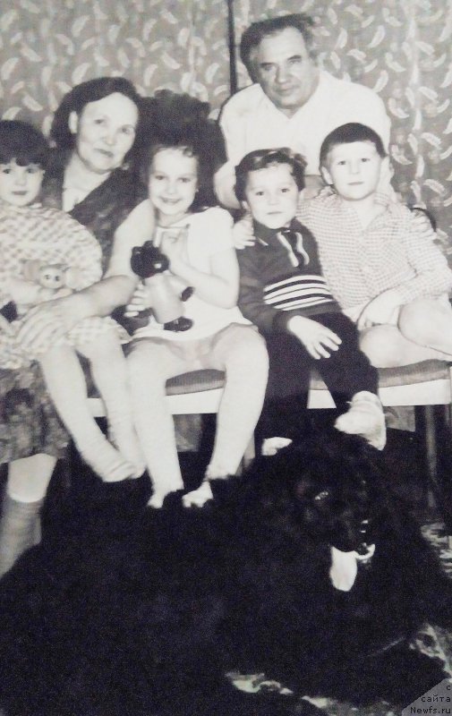 Фото: ньюфаундленд Alina (Алина)