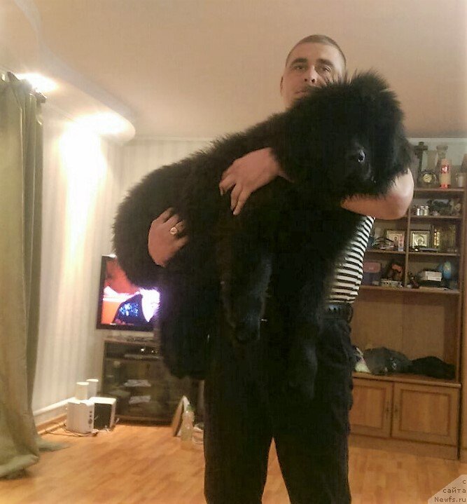 Фотография № 200795