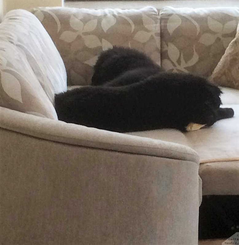 Фотография № 200796