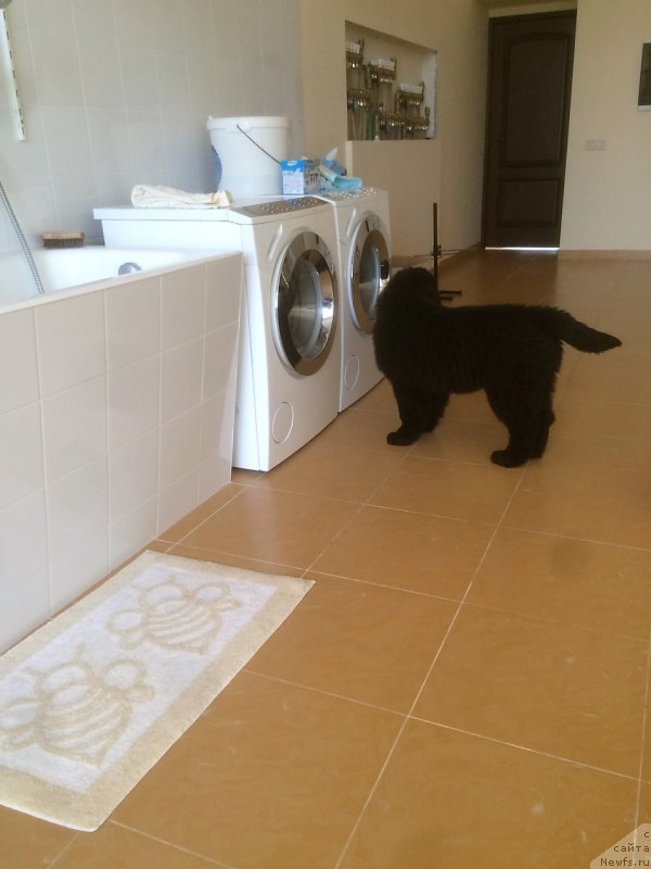 Фотография № 200797