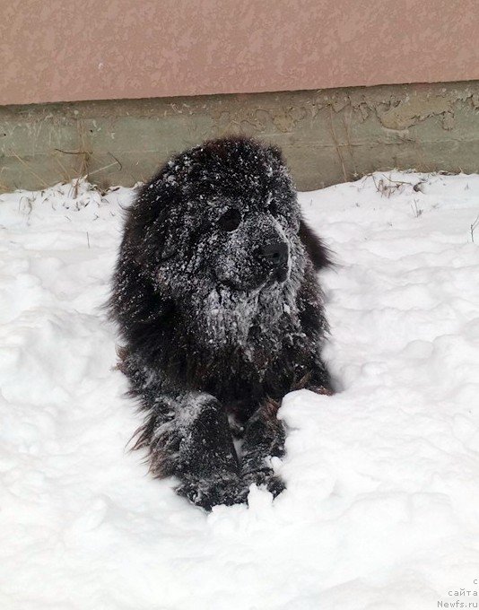 Фотография № 200836