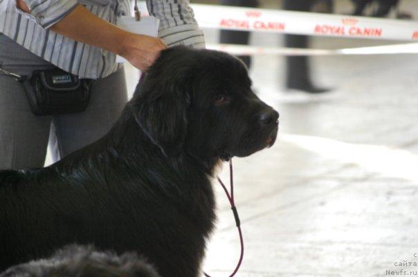 Фотография № 20086