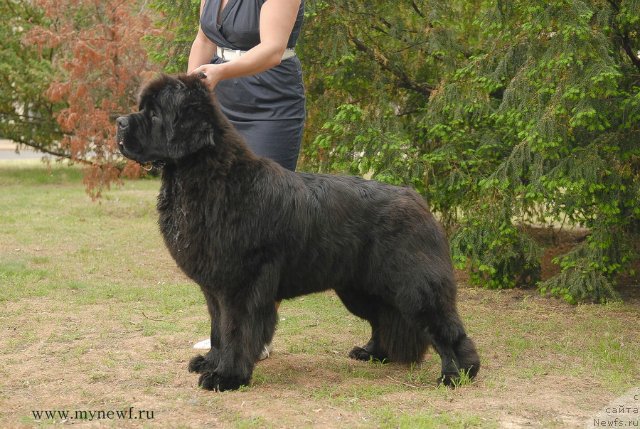 Фотография № 200873