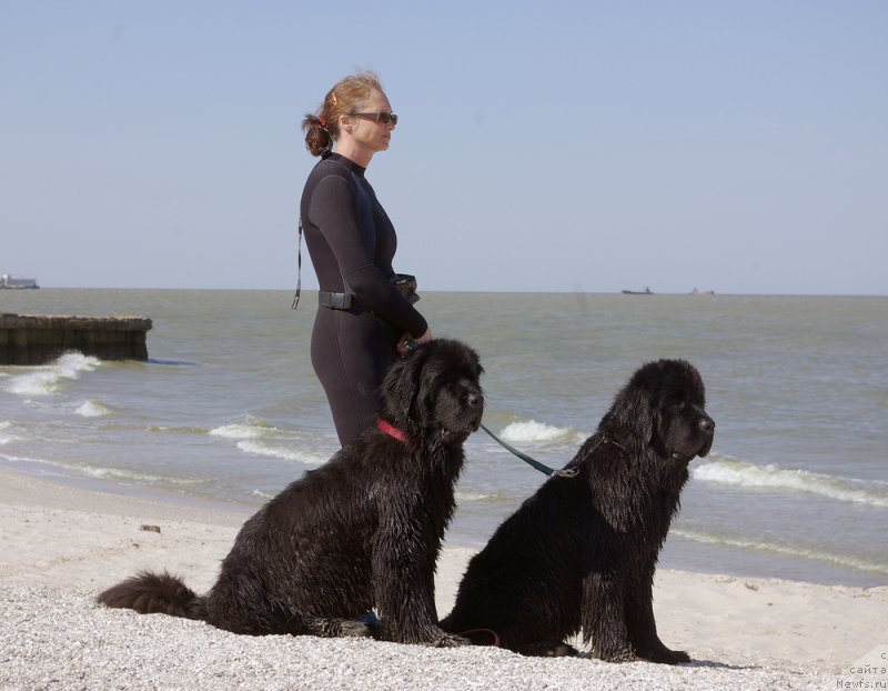 Фотография № 200891