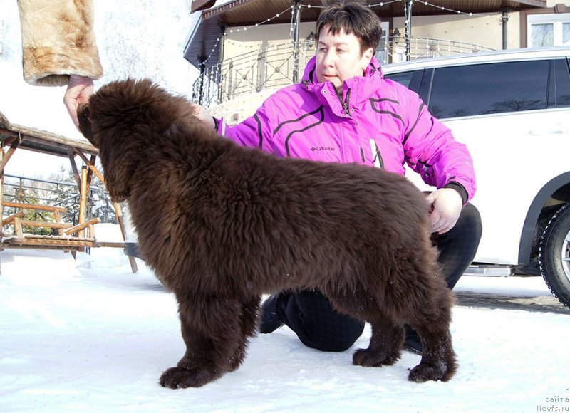 Фотография № 200895