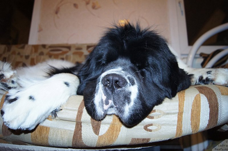 Фотография № 200898