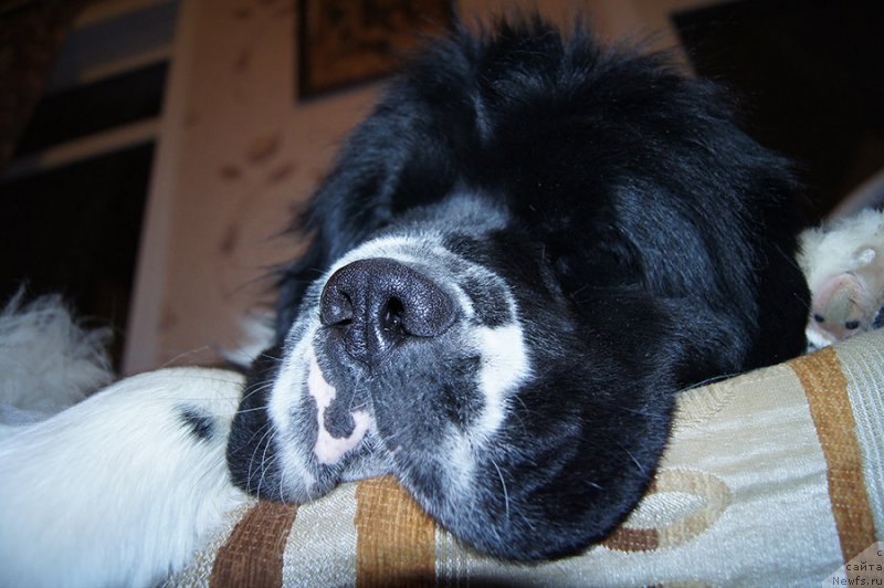 Фотография № 200899