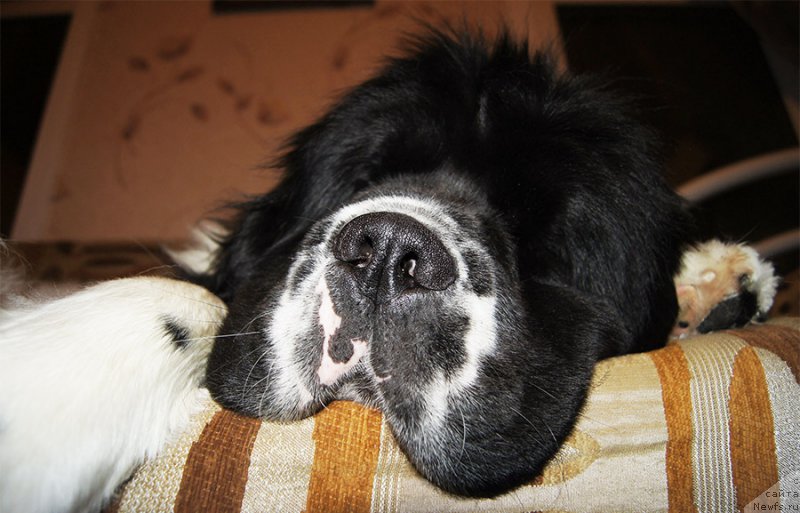 Фотография № 200900