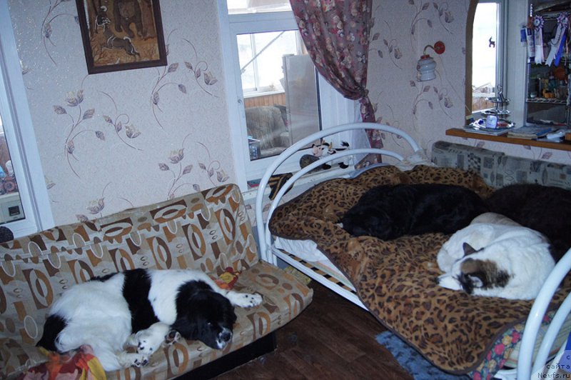 Фотография № 200901