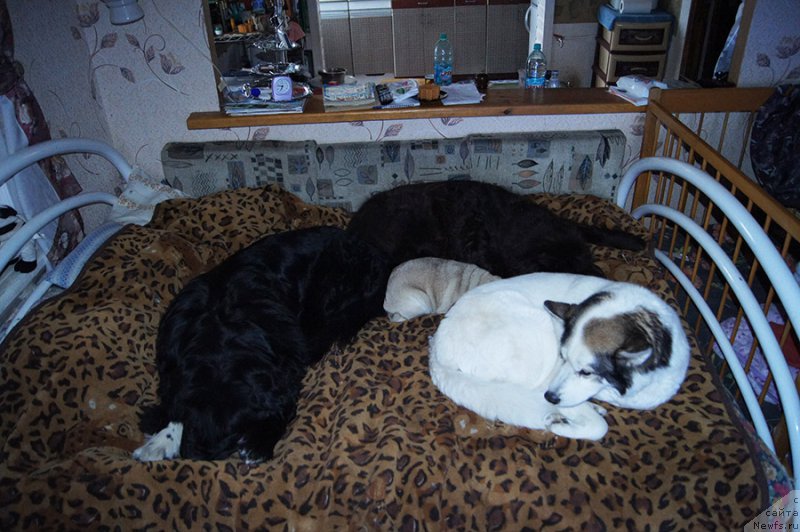 Фотография № 200902