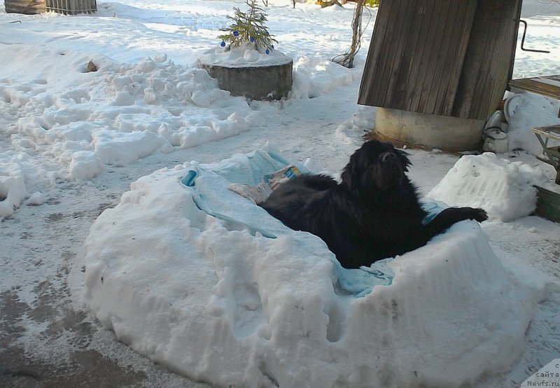 Фотография № 200950