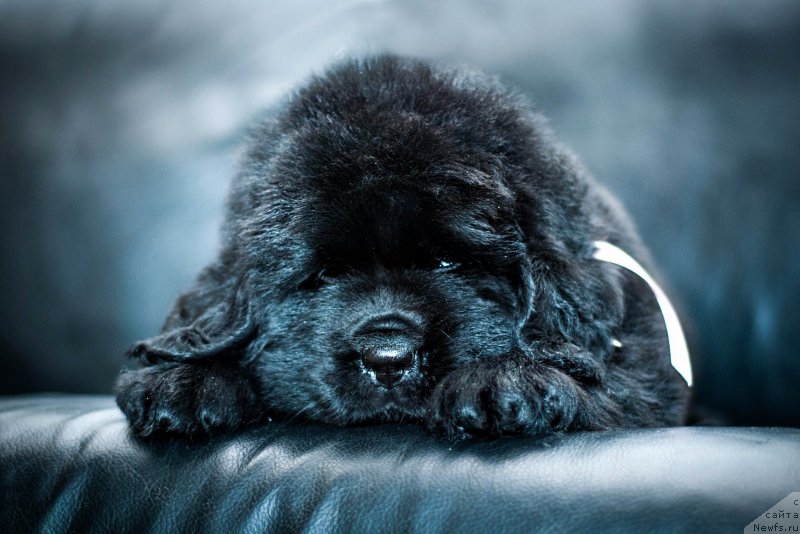 Фотография № 200953