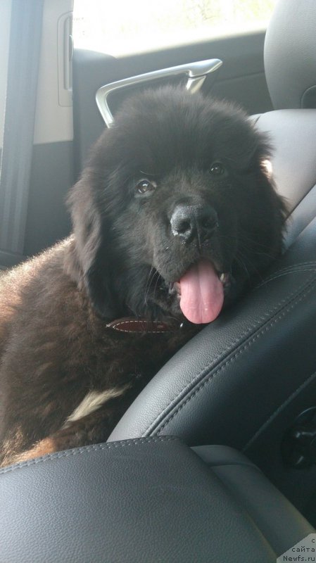 Фото: Elena Snigereva (Елена Снигерева)