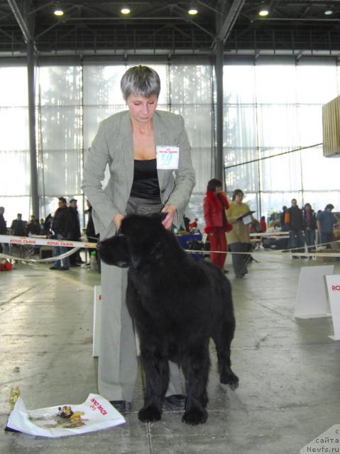 Фотография № 20096