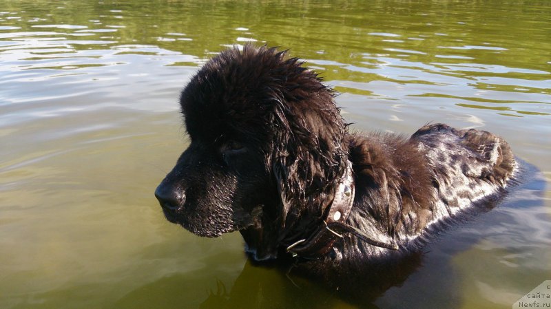 Фото: Elena Snigereva (Елена Снигерева)