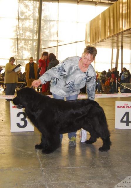 Фотография № 20097