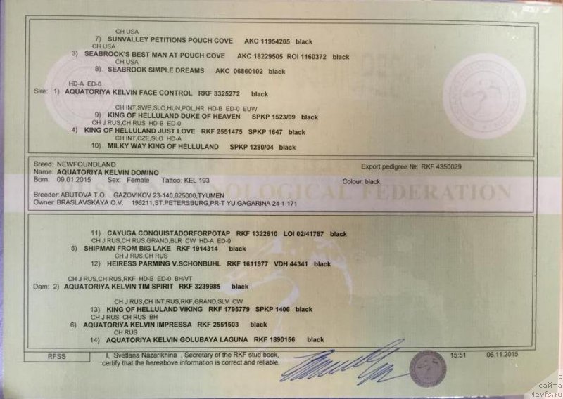 Фото: Родословная [d15153]