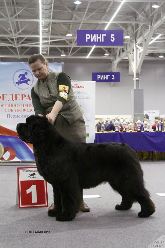 Фотография № 200997