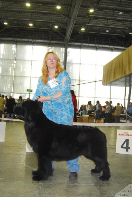 Фотография № 20101