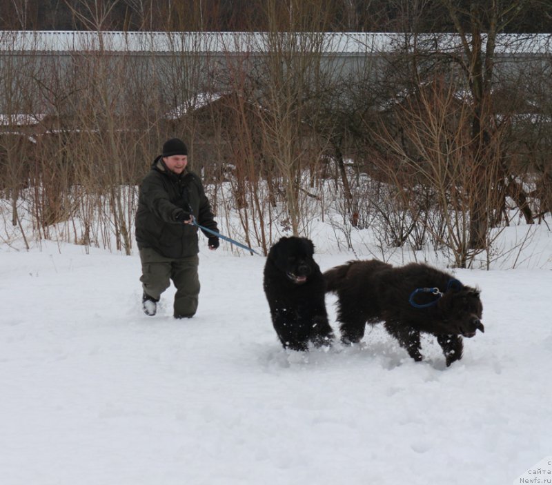 Фото: Aleksandr Ponomaryov (Александр Пономарёв), [d14137] и 
