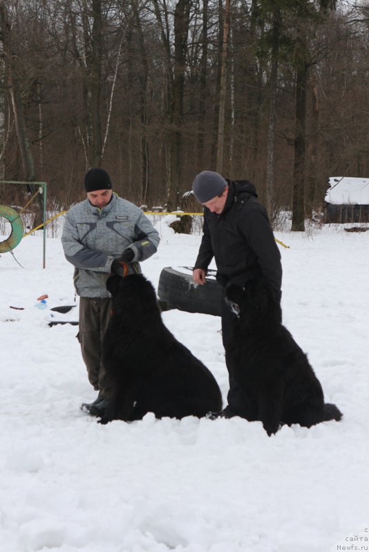 Фото: Александр и, ньюфаундленд Ermak s Berega Dona (Ермак с Берега Дона), Игорь и, ньюфаундленд Egor s Berega Dona (Егор с Берега Дона)