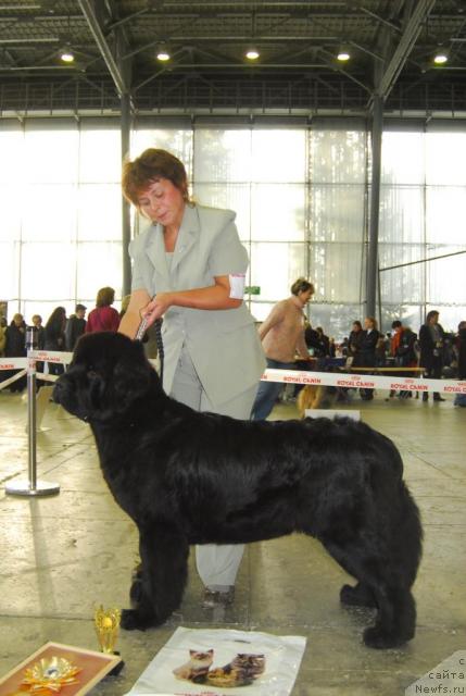 Фотография № 20102