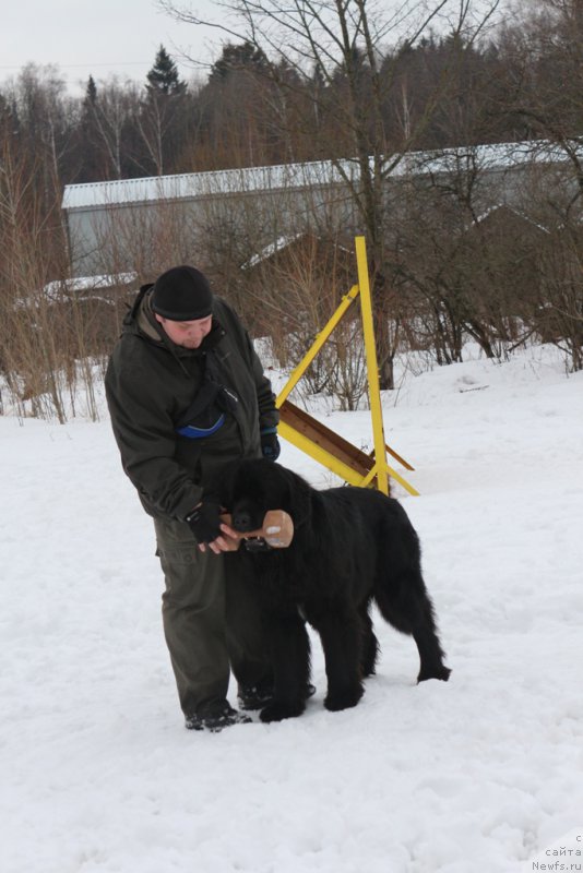 Фото: [p3468] и 