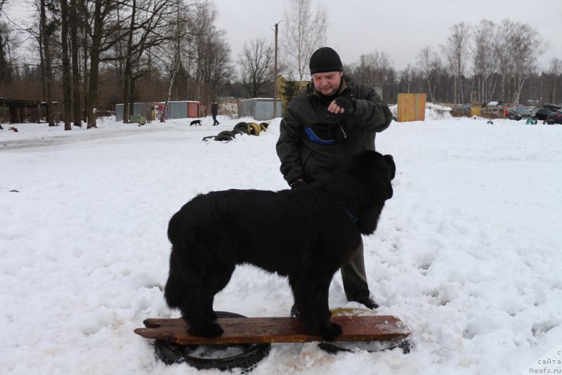 Фото: [p3468] и 